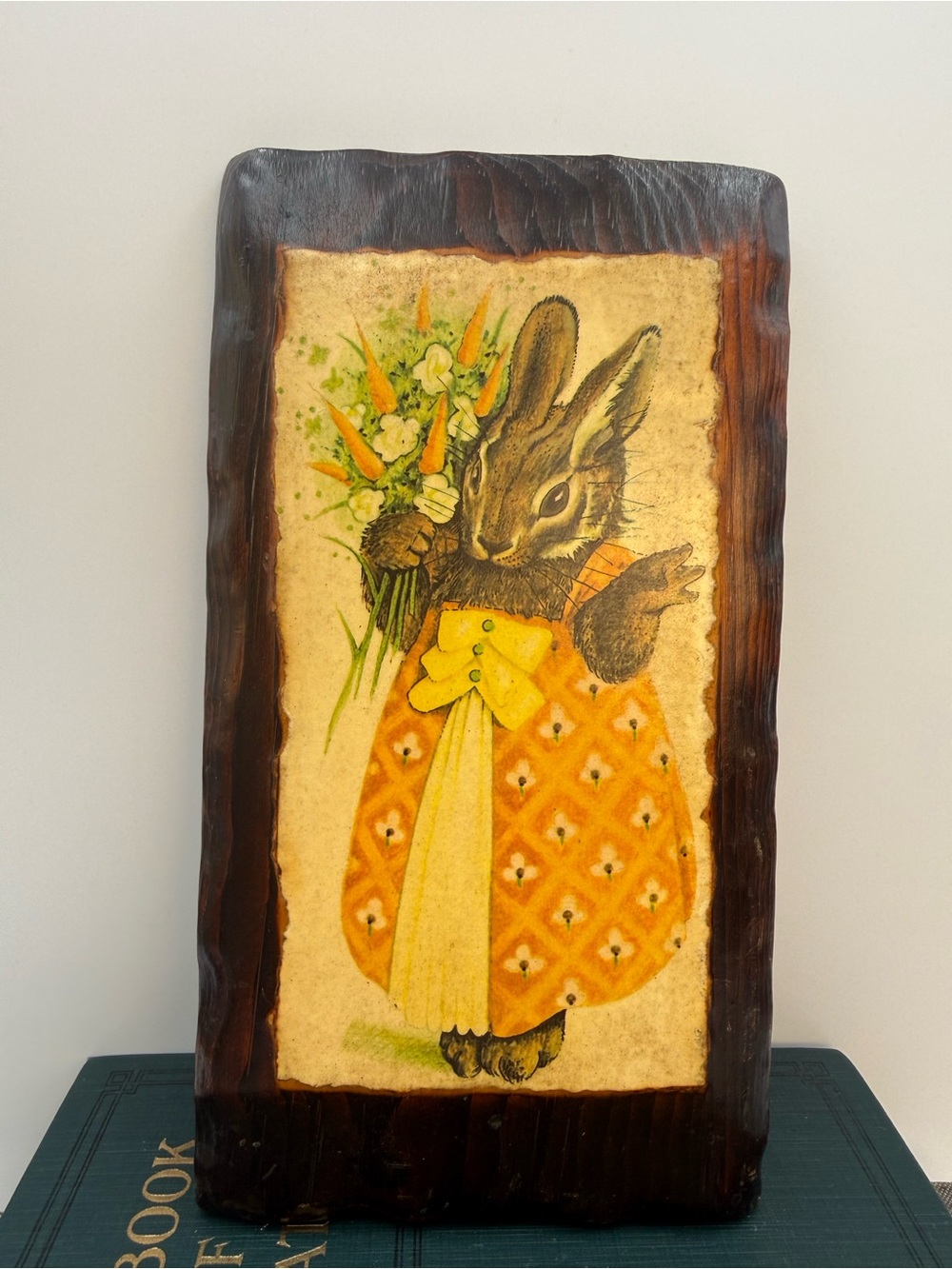 Vintage Bunny Rabbit with a Bouquet of Carrots  Wood Wall Plaque 10x5”